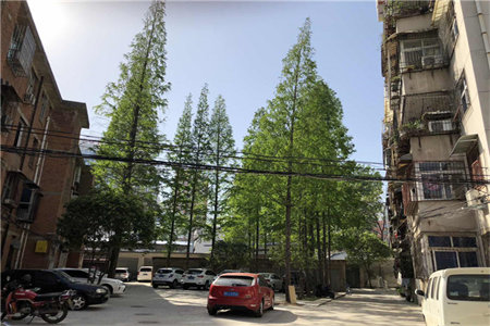 城南城建清华园1室1厅1卫60万56m2出售